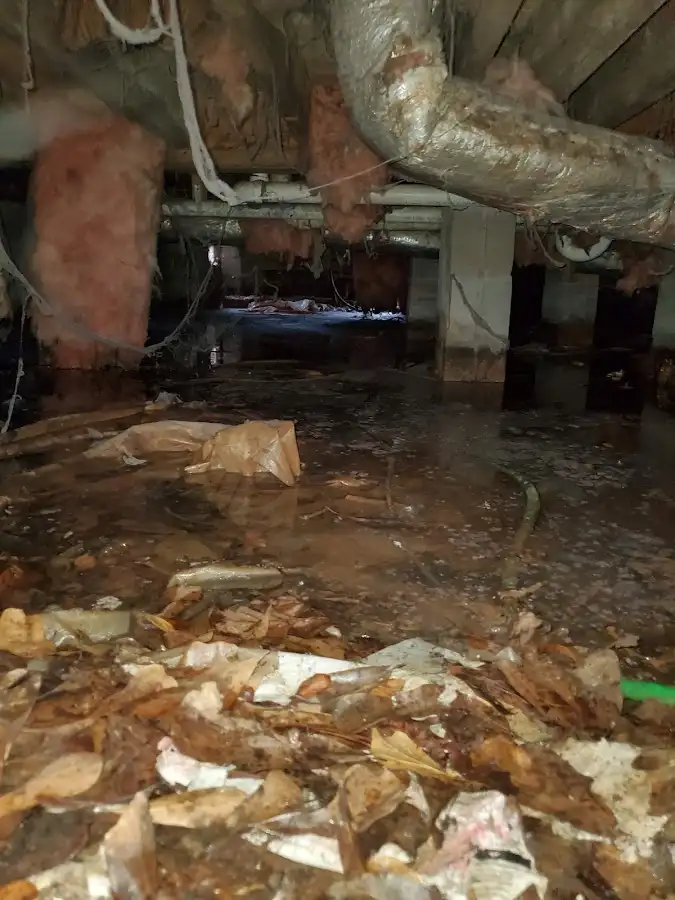 Crawl space flood assessment for Commercial Water Damage Restoration in Tillmans Corner