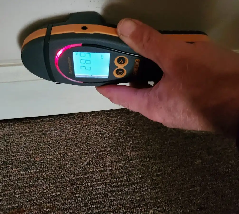 Moisture detection at baseboard during Mold Inspection & Testing in Tillmans Corner